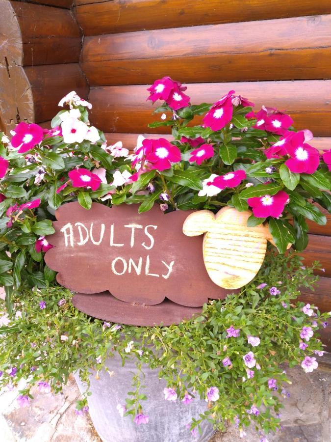 Au Paradou Du Bucheron Adults Only Lessive Dış mekan fotoğraf